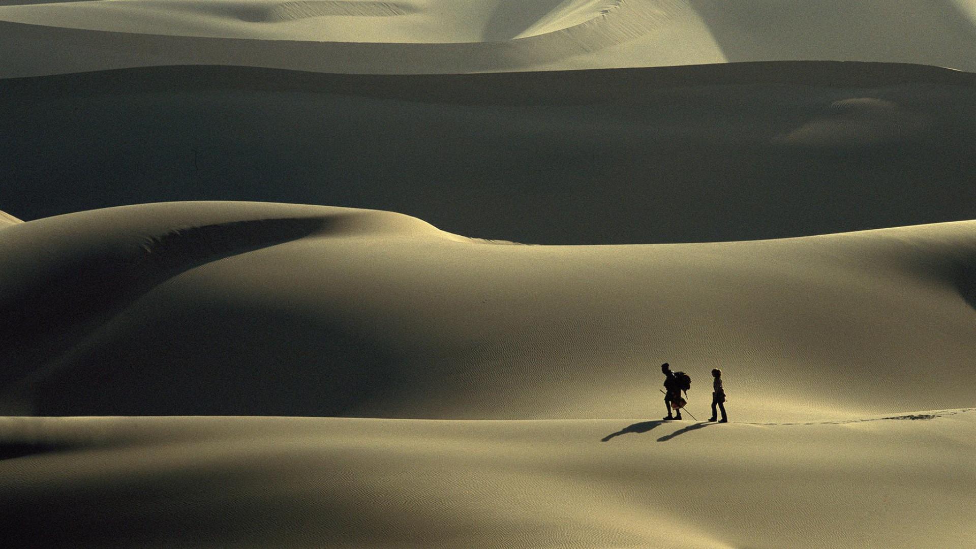 The Trail