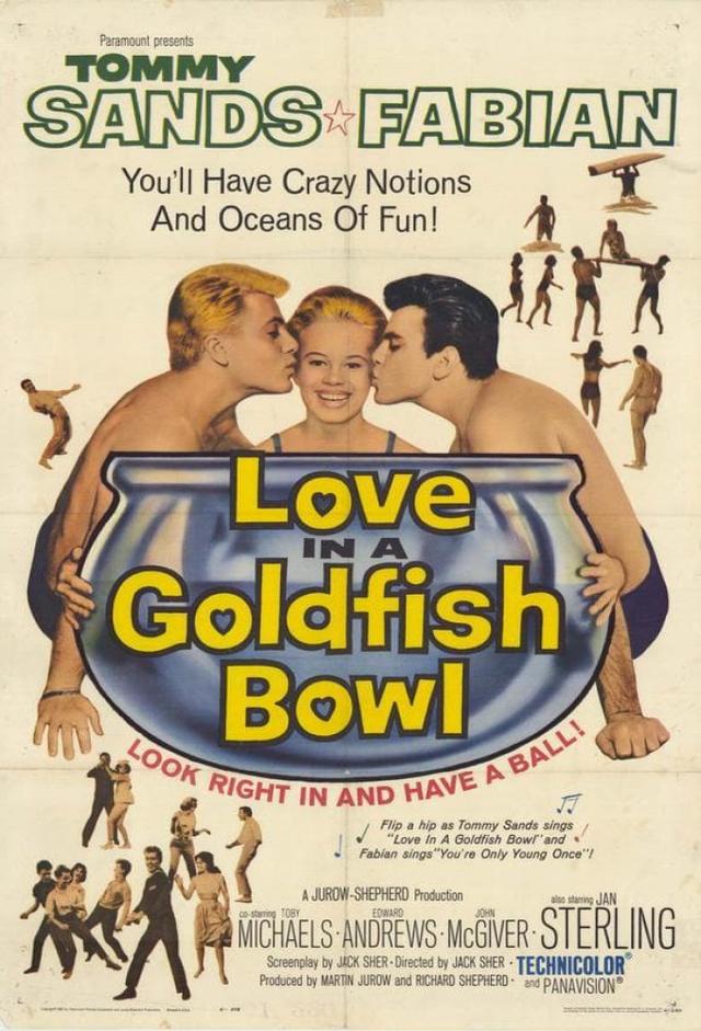 Love In A Goldfish Bowl