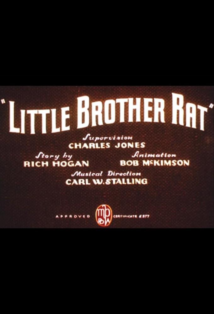 Little Brother Rat