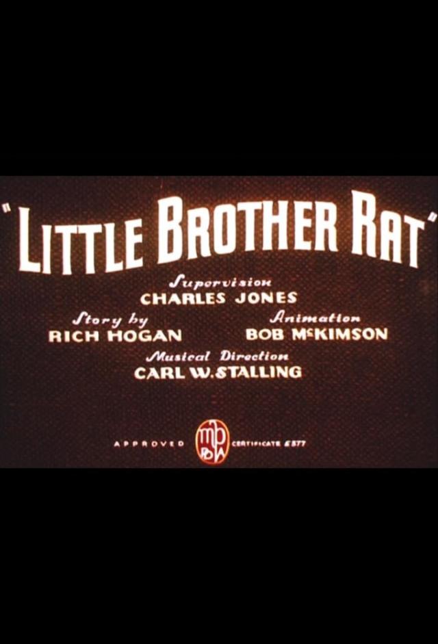 Little Brother Rat