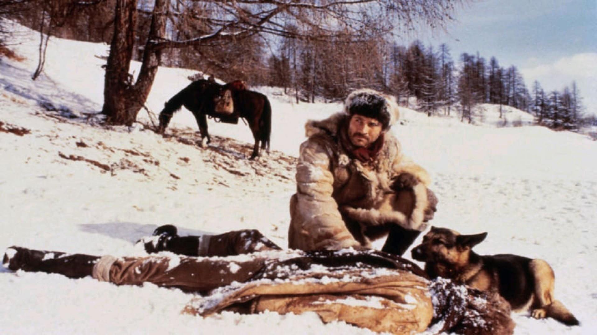 White Fang to the Rescue