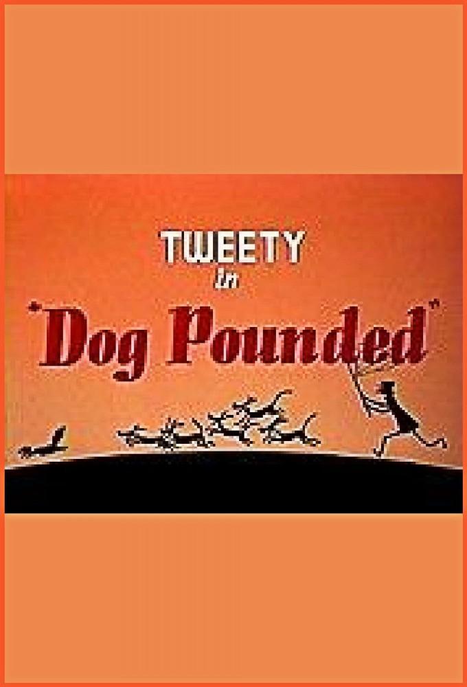 Dog Pounded