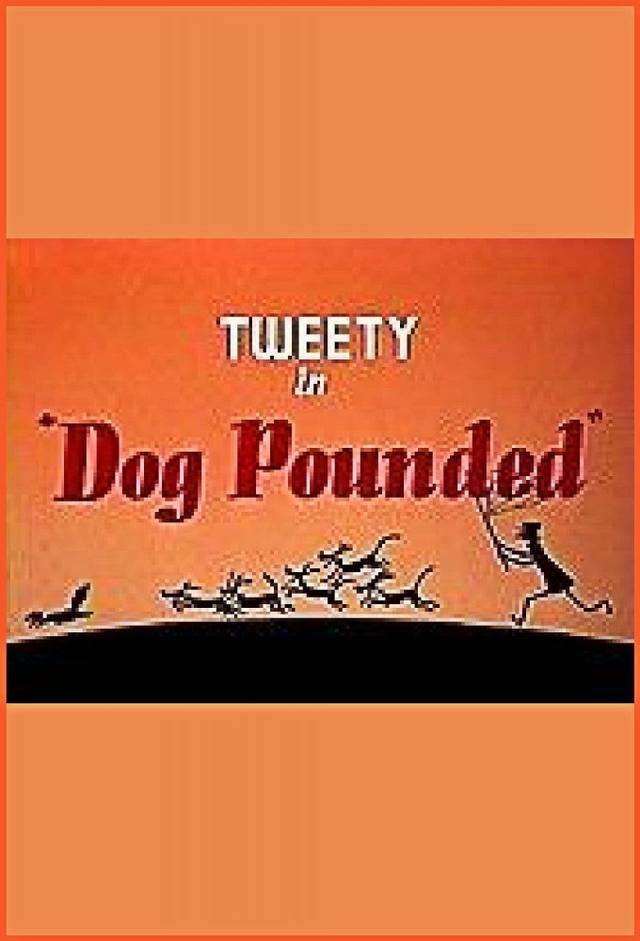 Dog Pounded
