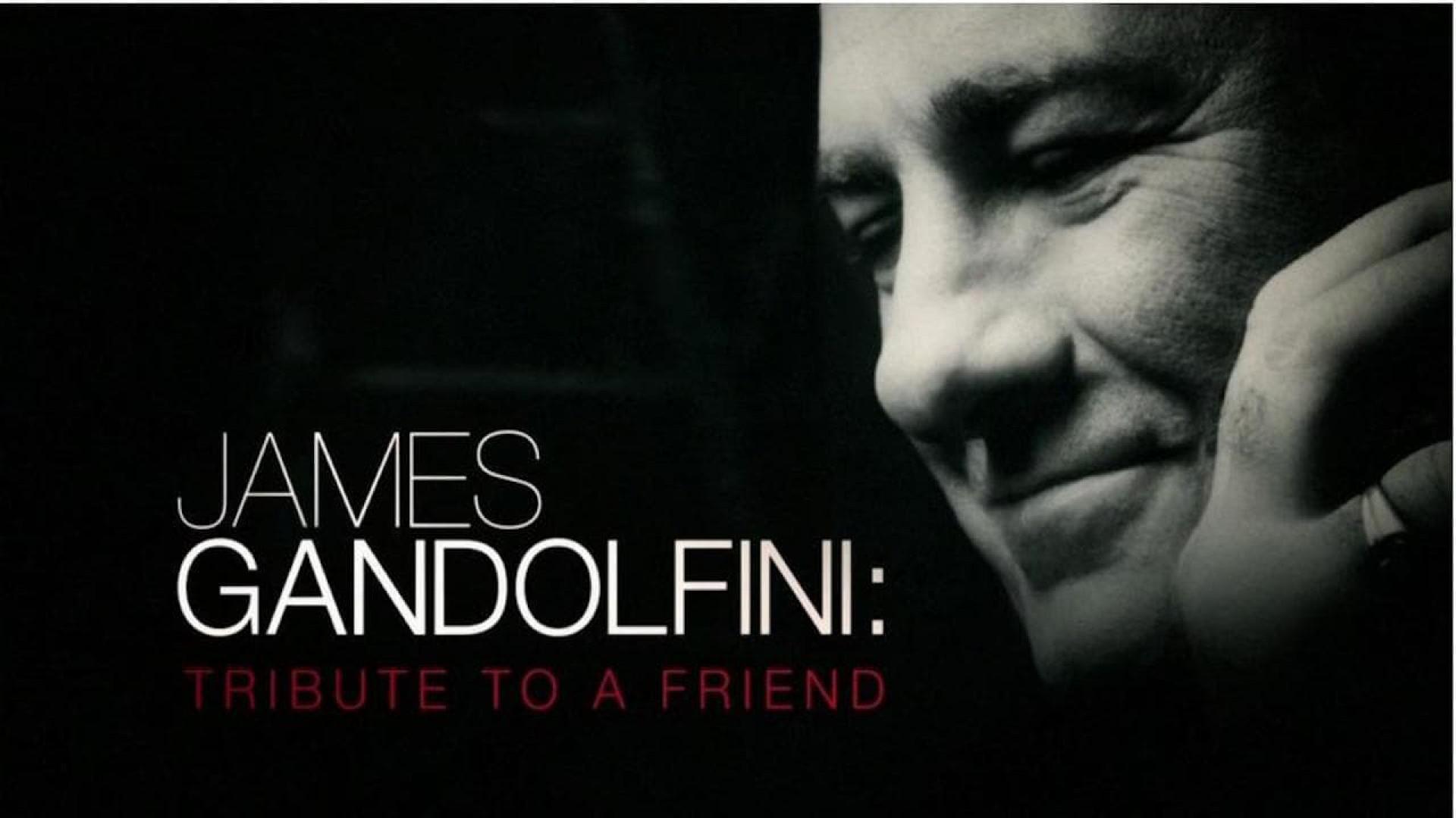 James Gandolfini: Tribute To A Friend