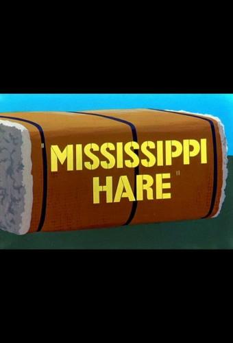 Mississippi Hare