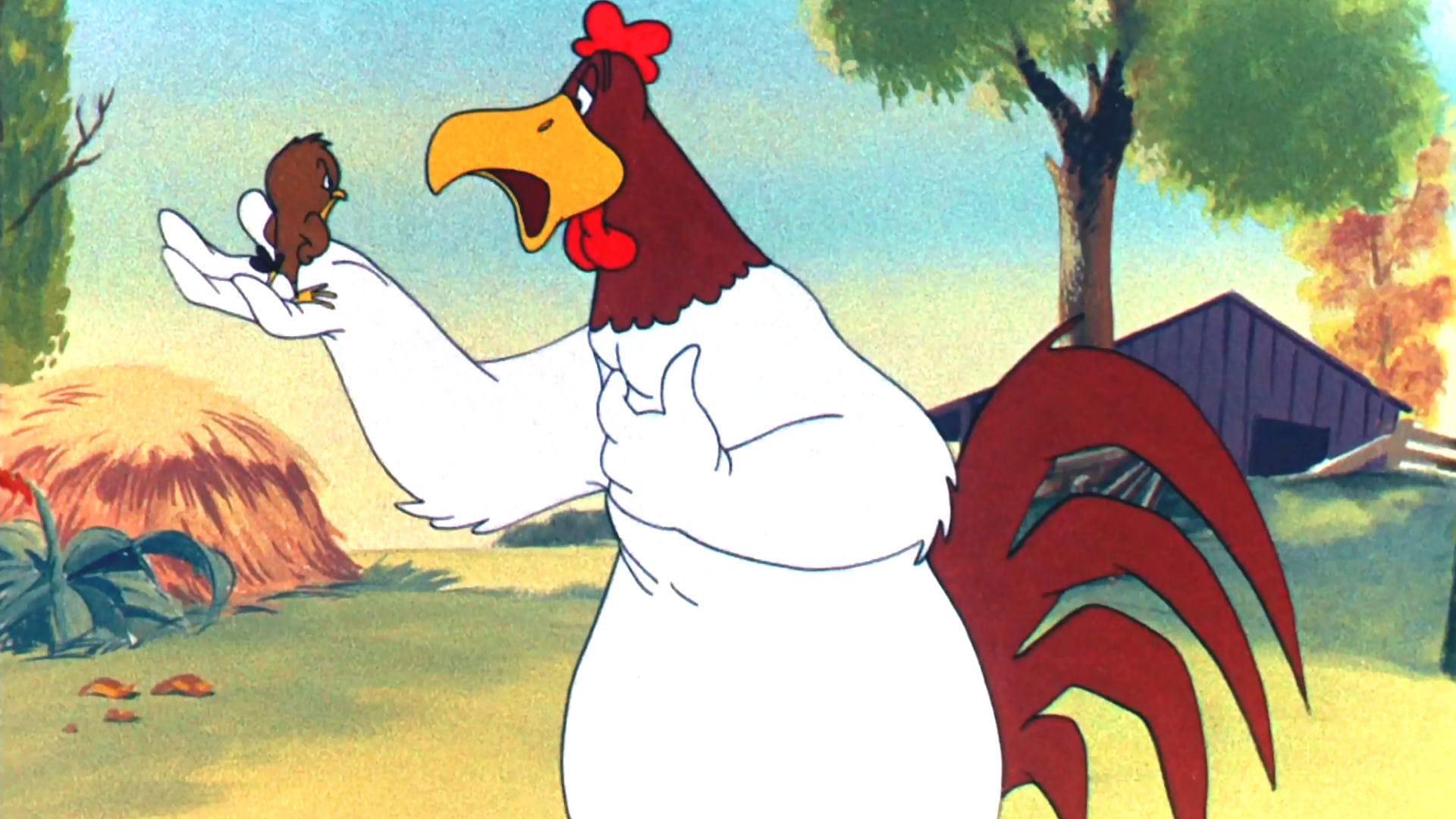 Walky Talky Hawky
