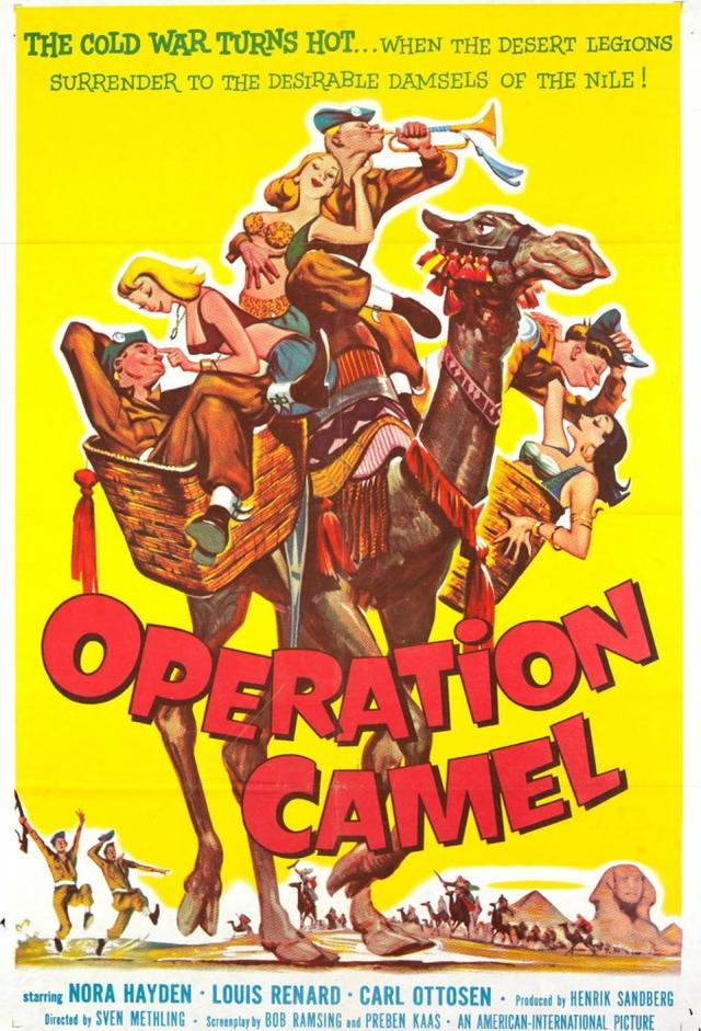 Operation Camel