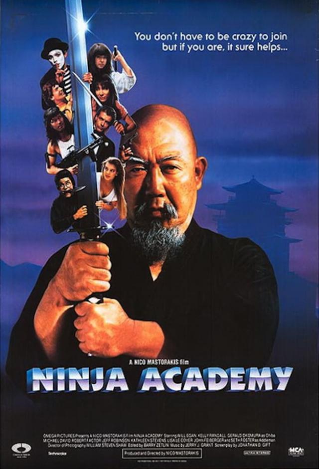 Ninja Academy