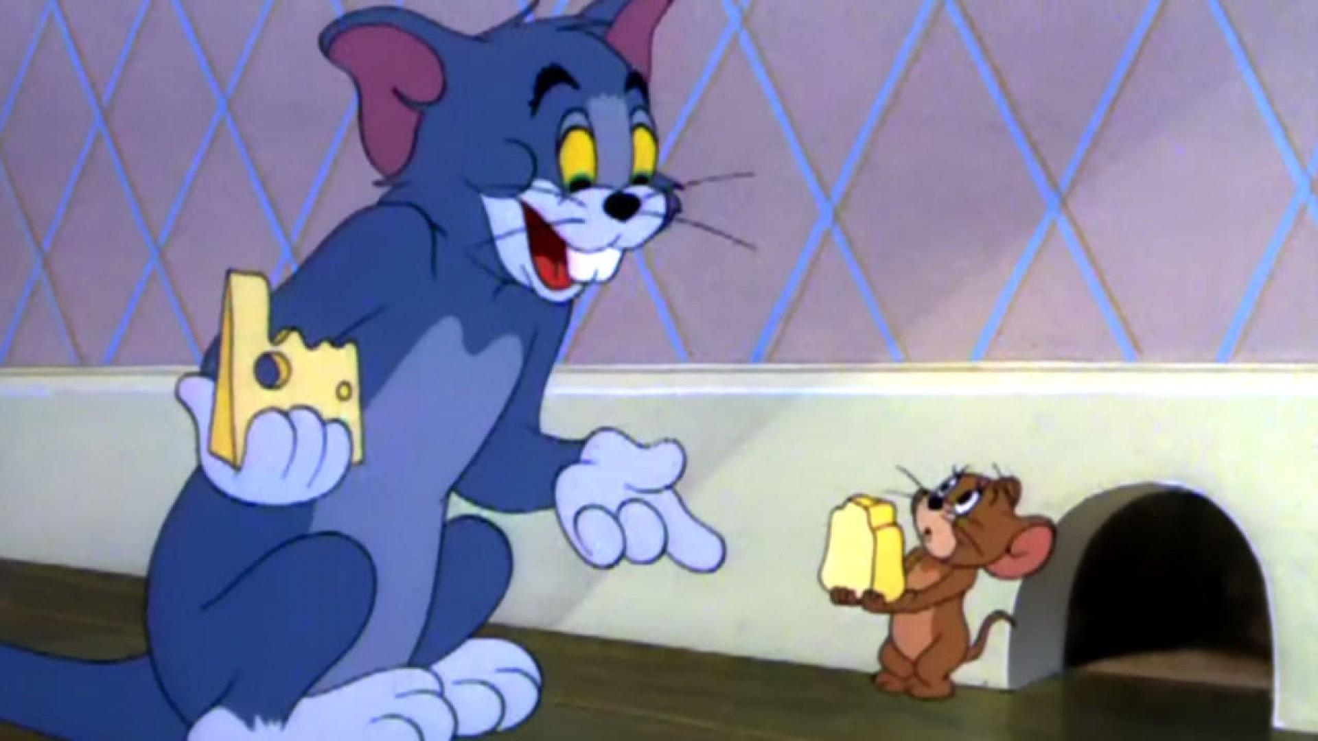 Nit-Witty Kitty