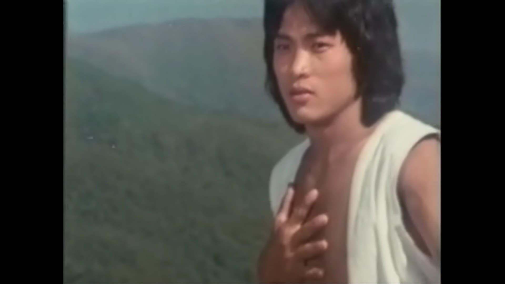 The 36 Crazy Fists