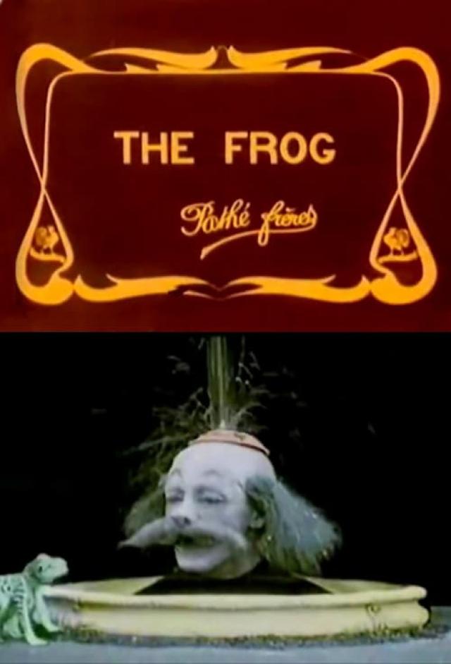 The Frog