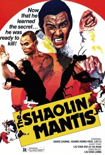 Shaolin Mantis