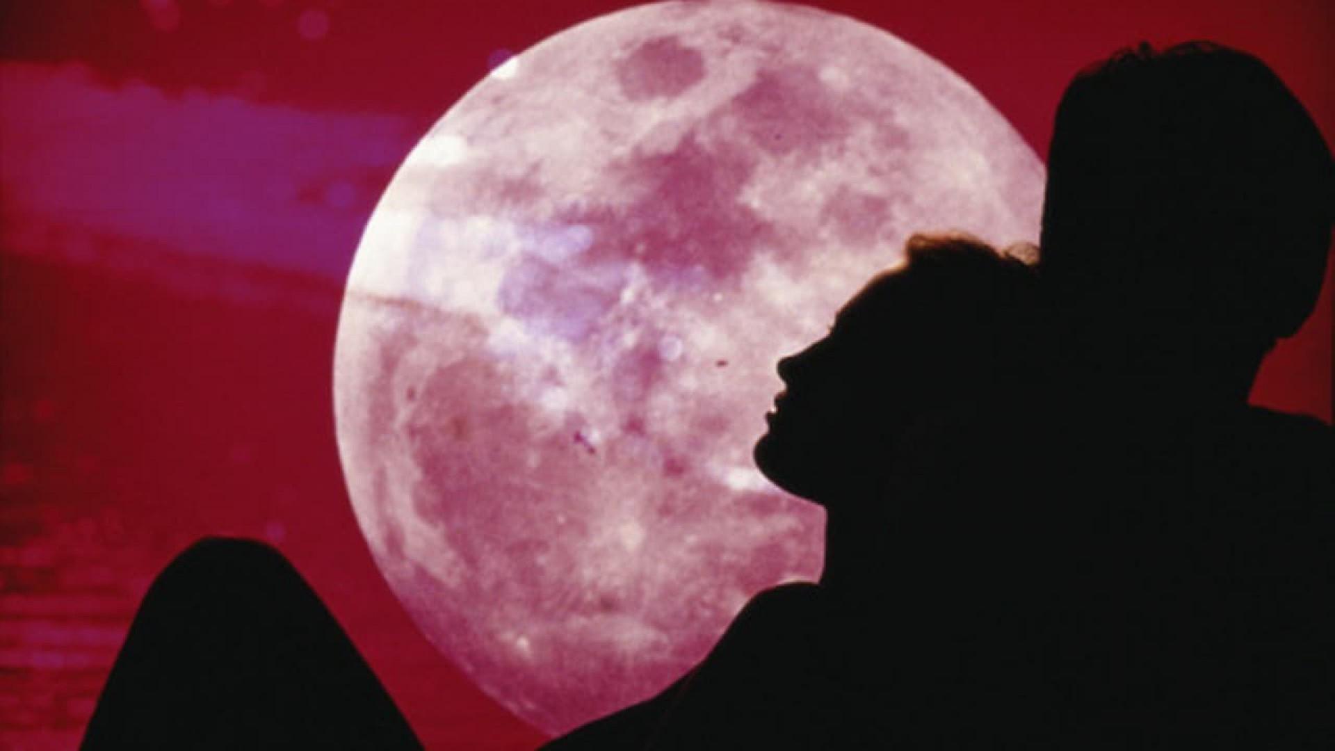 Kama Sutra - Secrets to the Art of Love