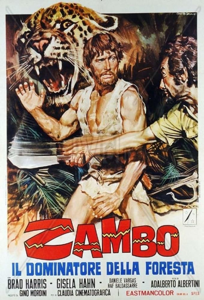 Zambo, King Of The Jungle