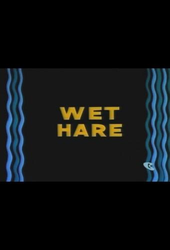 Wet Hare
