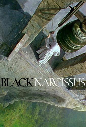 Black Narcissus