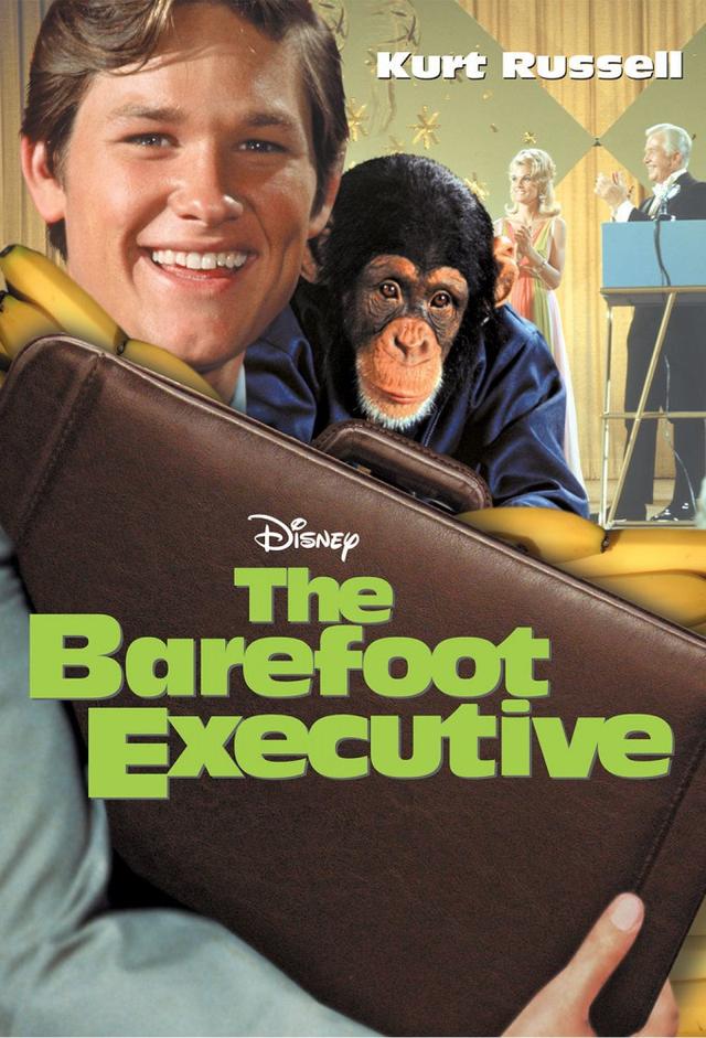 The Barefoot Executive