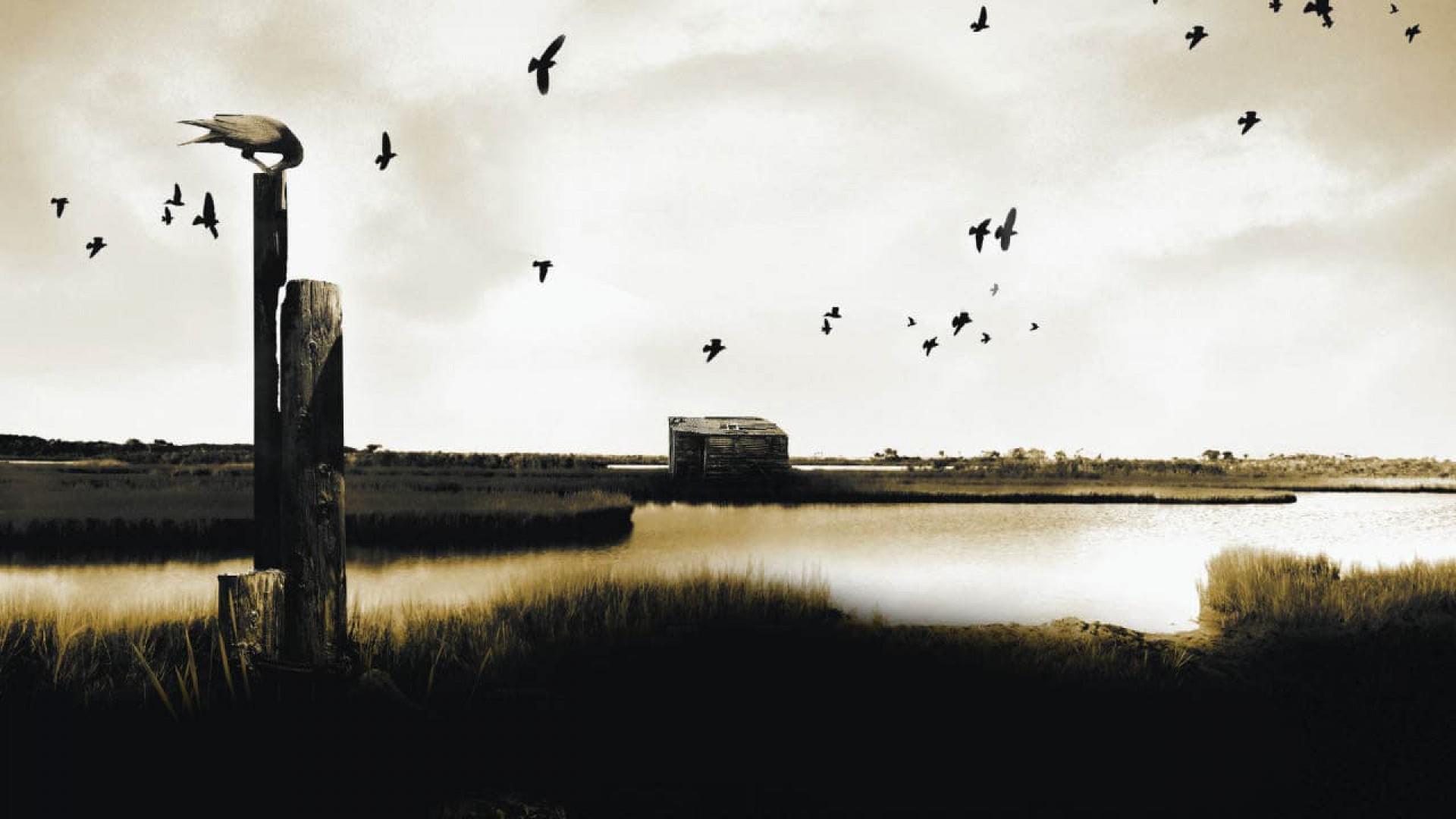 The Hide