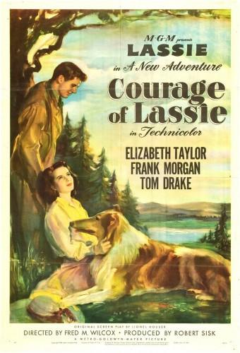 Courage of Lassie