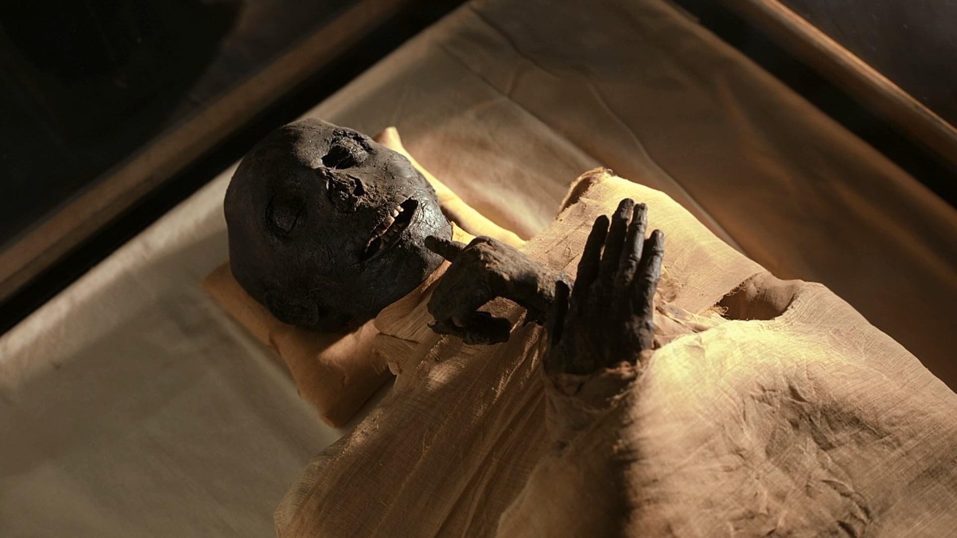 IMAX Mummies Secrets Of The Pharaohs