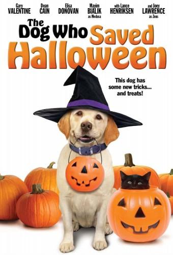 The Dog Who Saved Halloween