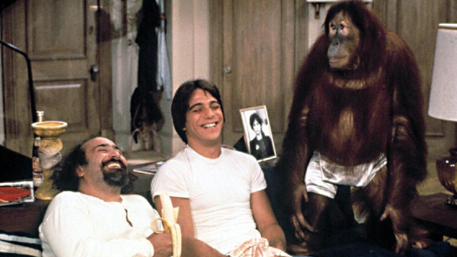 Going Ape!