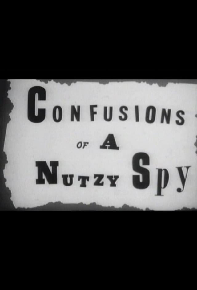 Confusions of a Nutzy Spy