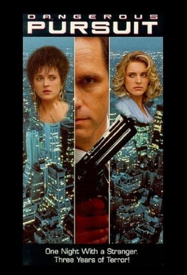 Dangerous Pursuit