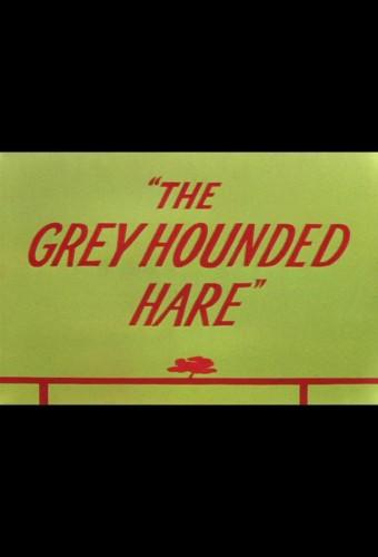 The Grey Hounded Hare