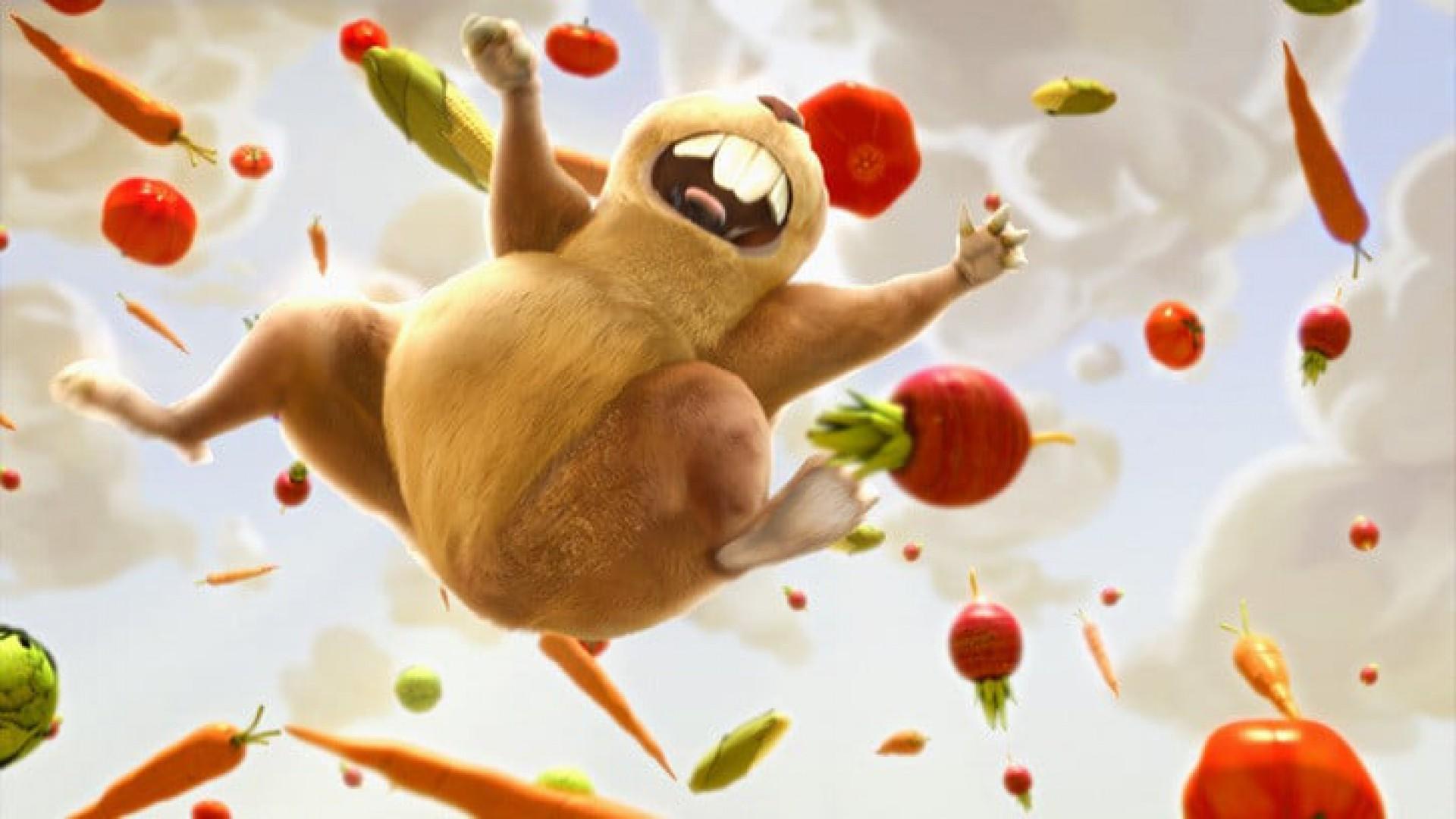 Gopher Broke