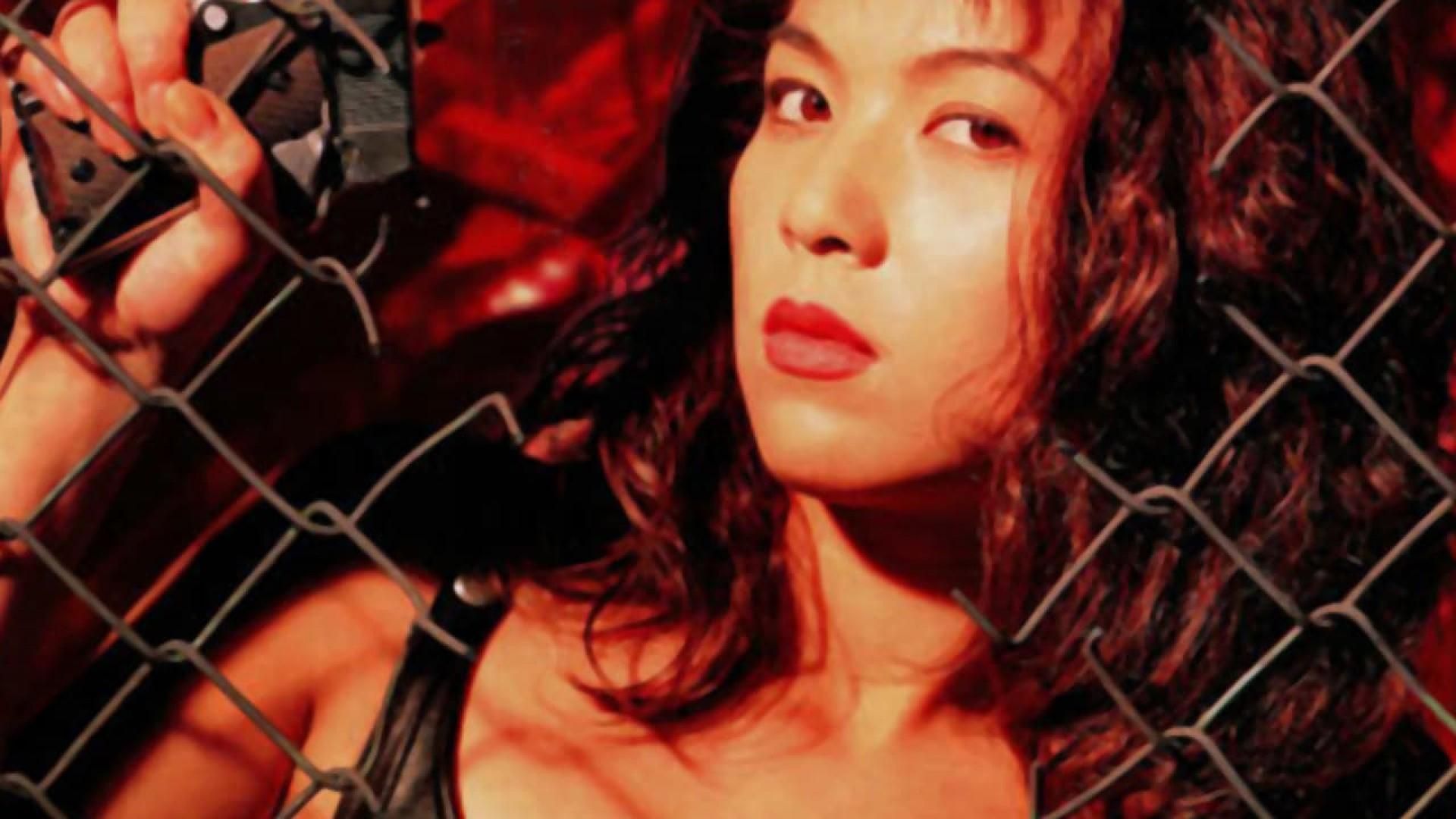 Zero Woman: Final Mission