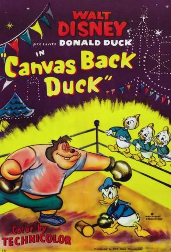 Canvas Back Duck