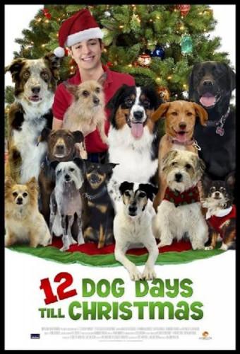 12 Dog Days Till Christmas