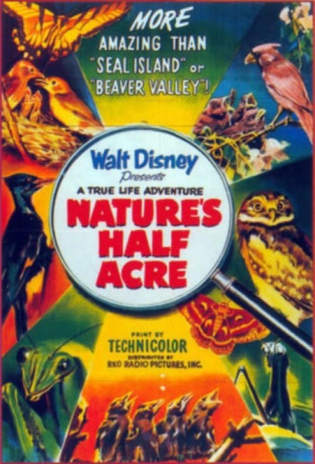 Nature's Half Acre