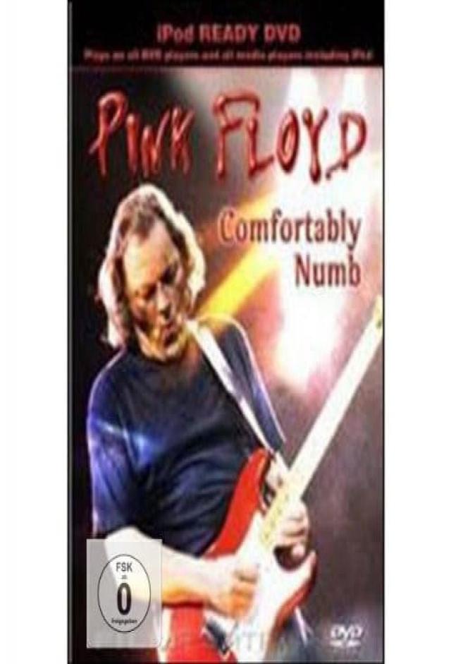 Pink Floyd - Comfortably Numb