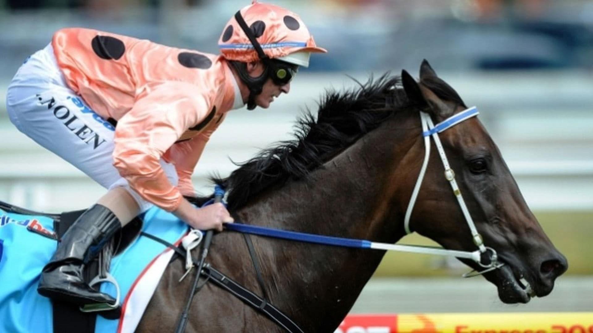 Black Caviar - The Horse of a Lifetime