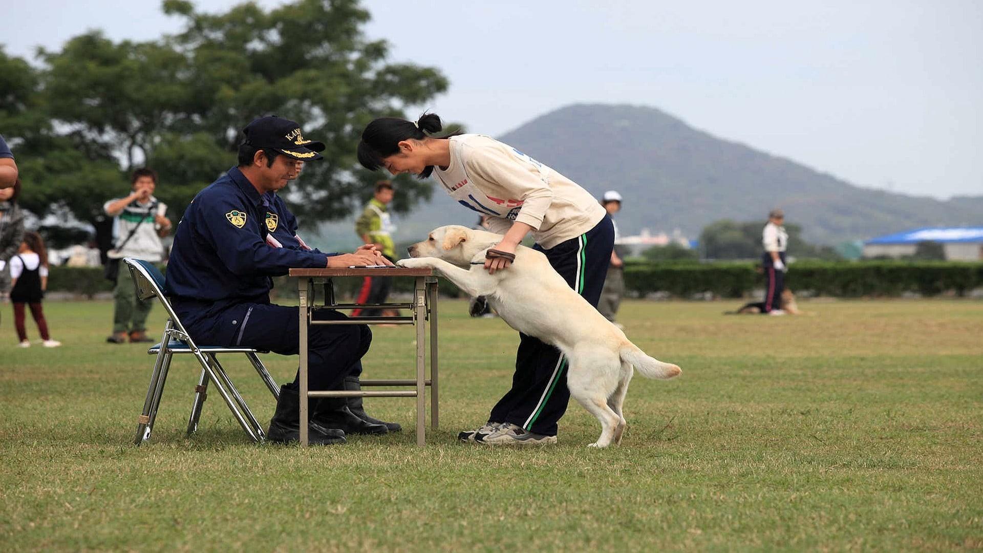 Kinako - The Story of an Apprentice Police Dog