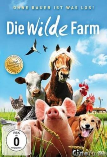 The Wild Life of Pets