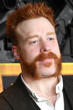 Picture of Stephen Farrelly