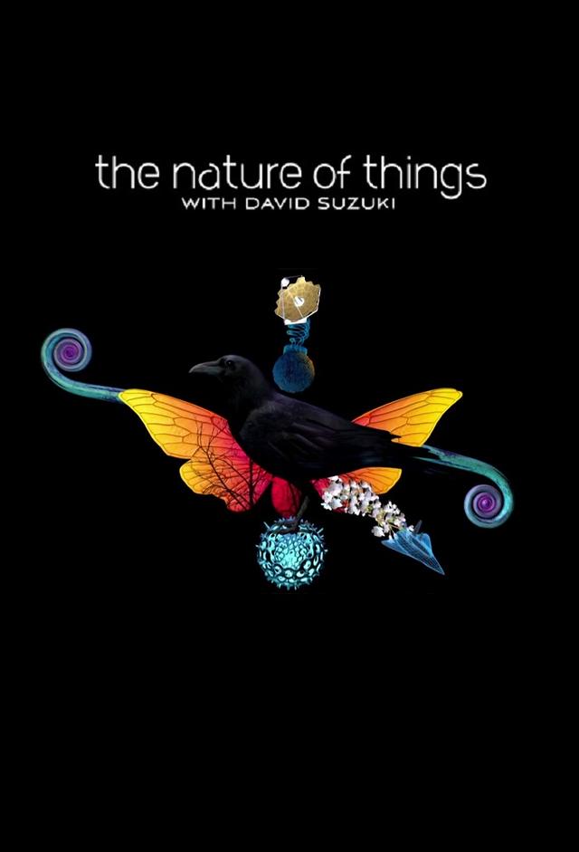 The Nature of Things