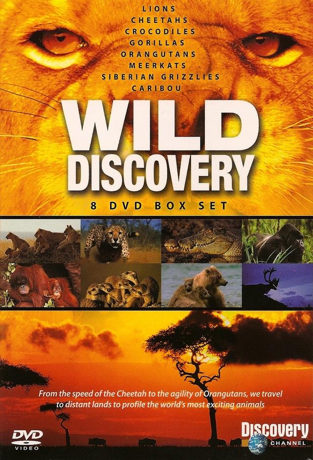 Wild Discovery