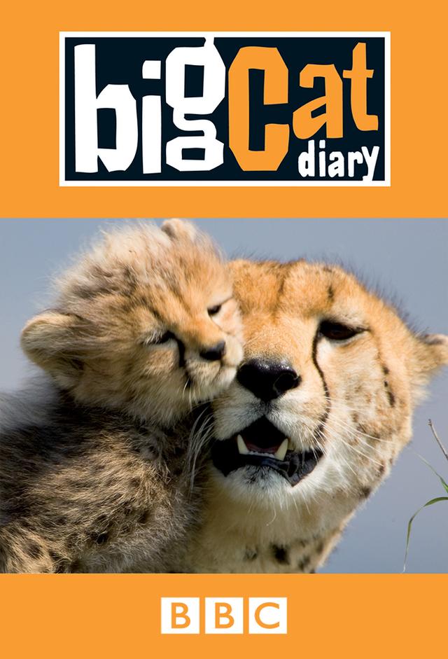 Big Cat Diary