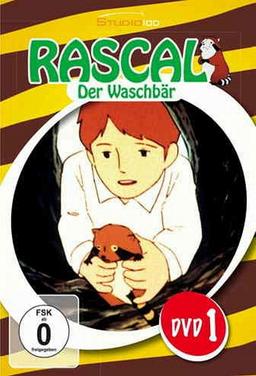 Rascal the Raccoon