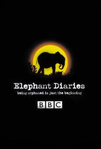 Elephant Diaries