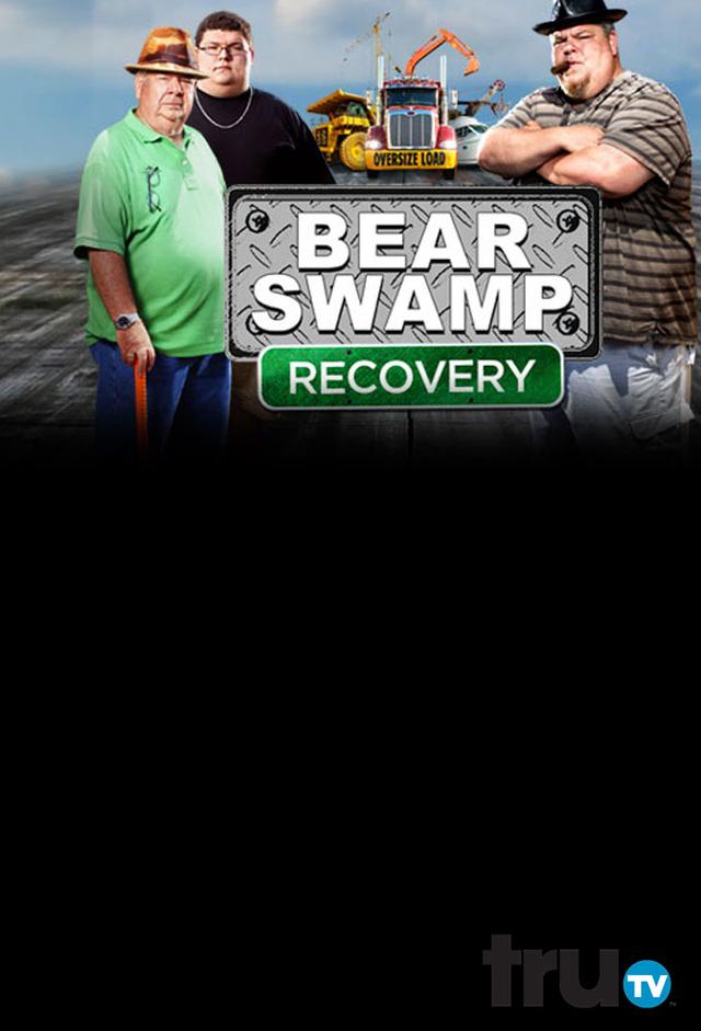 Bear Swamp Recovery