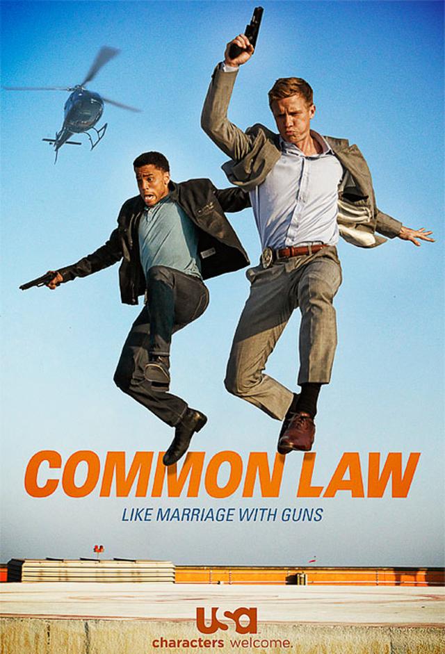 Common Law (2012)