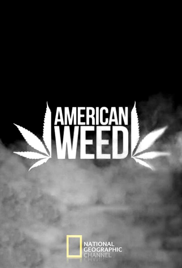 American Weed