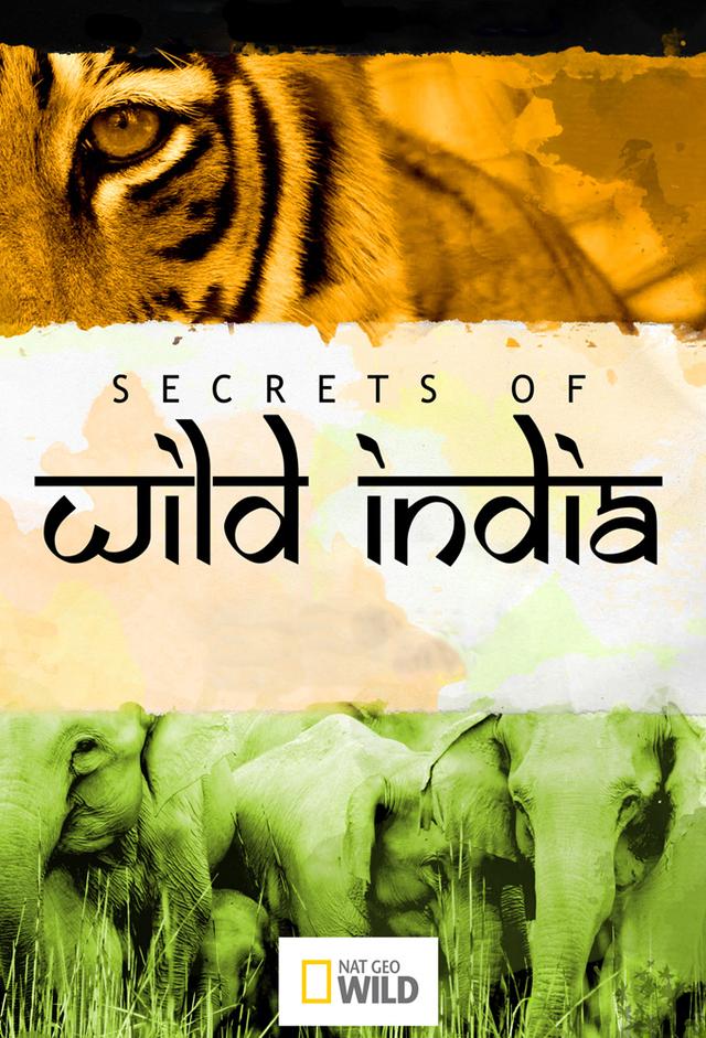 Secrets of Wild India