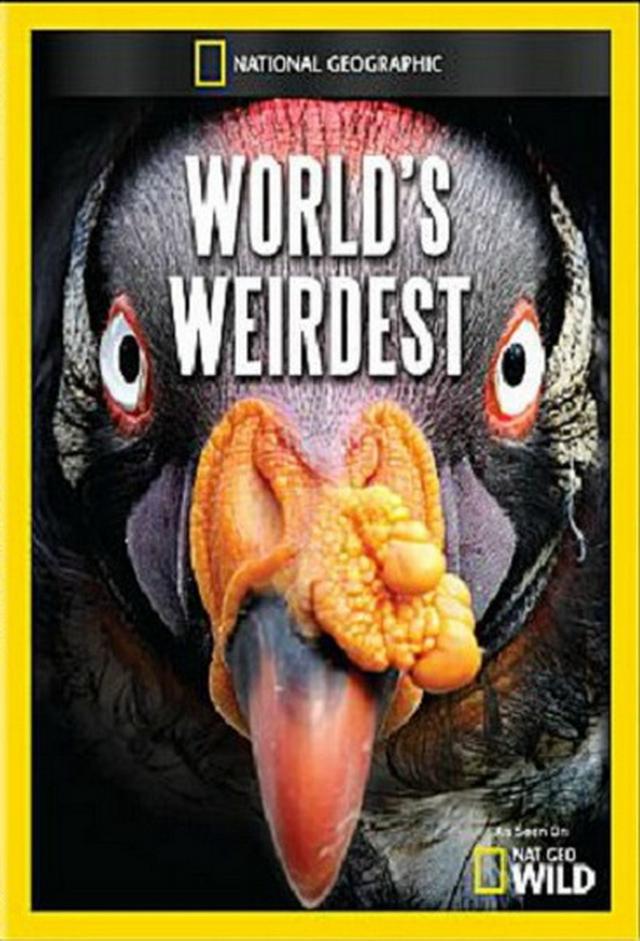 World's Weirdest