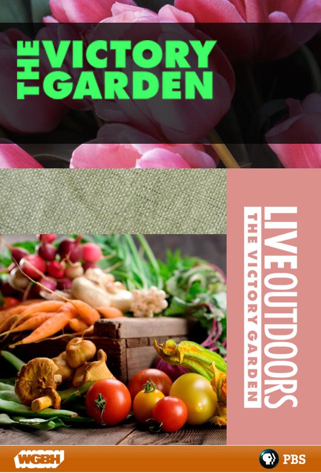 The Victory Garden